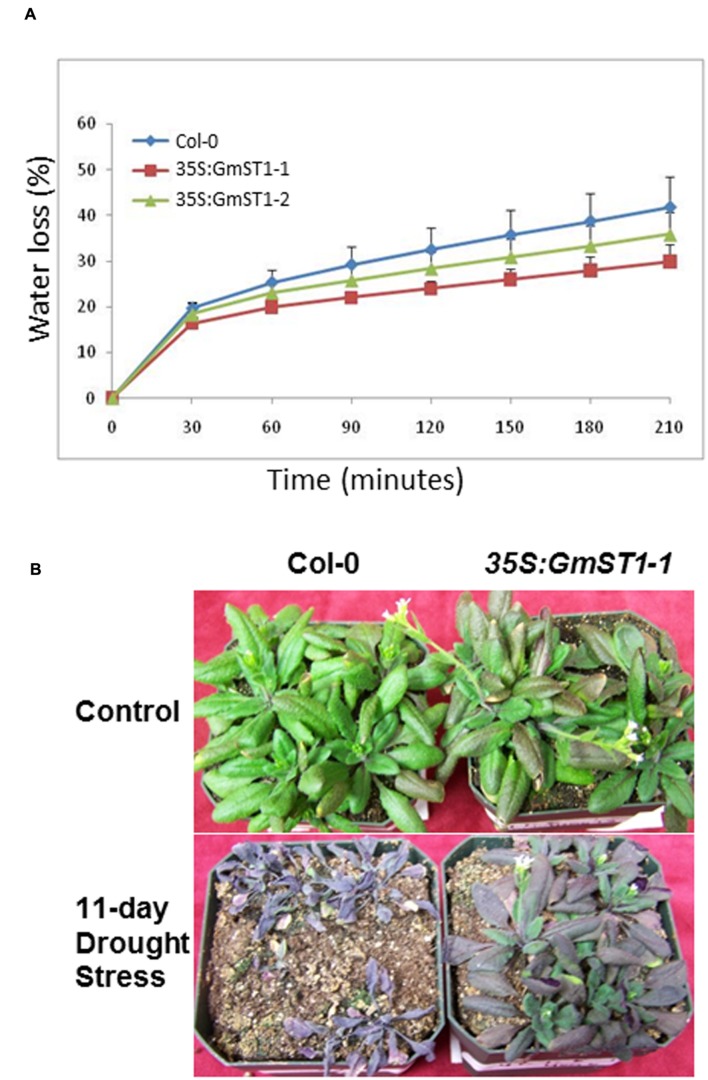 FIGURE 6