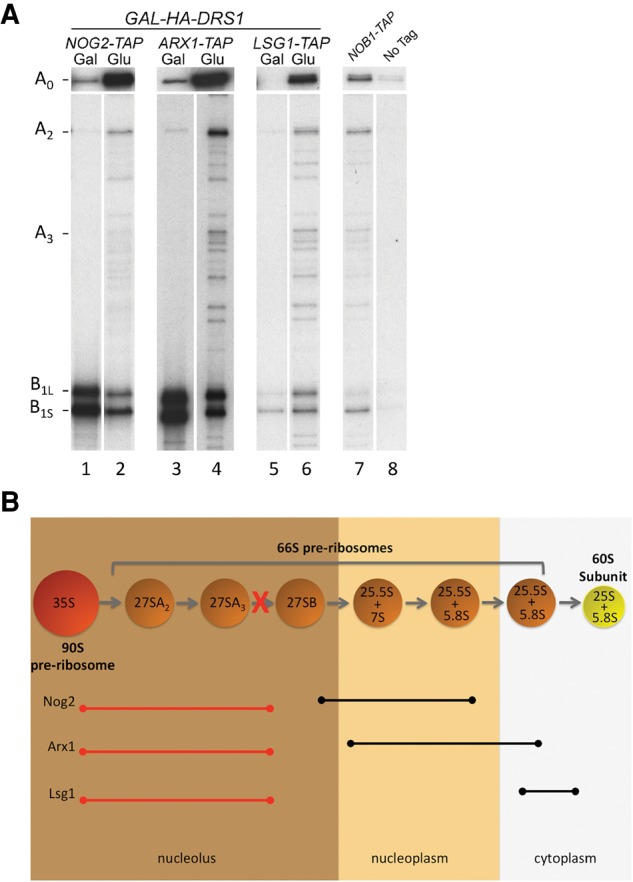 FIGURE 4.