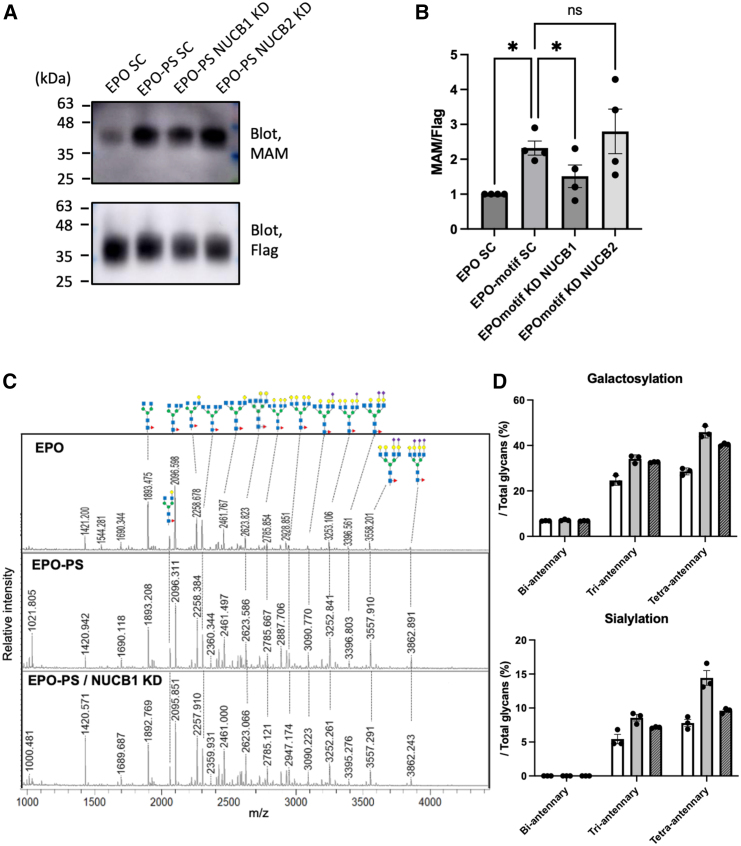 Figure 4