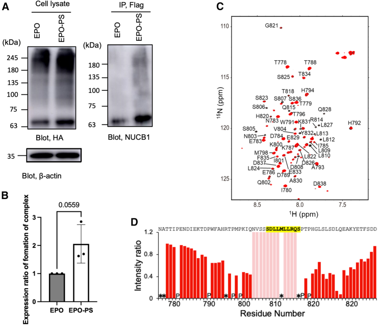 Figure 6