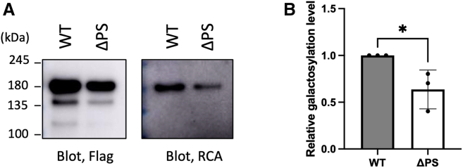 Figure 7