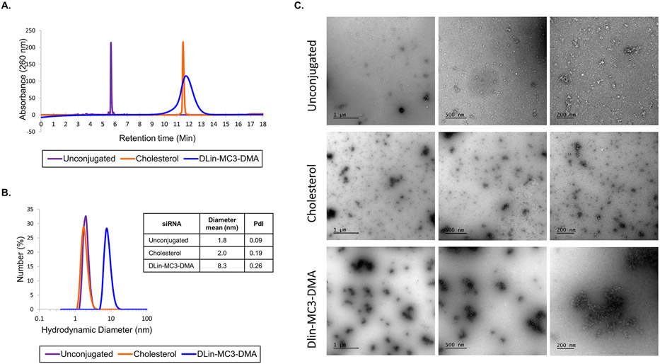 Figure 3: