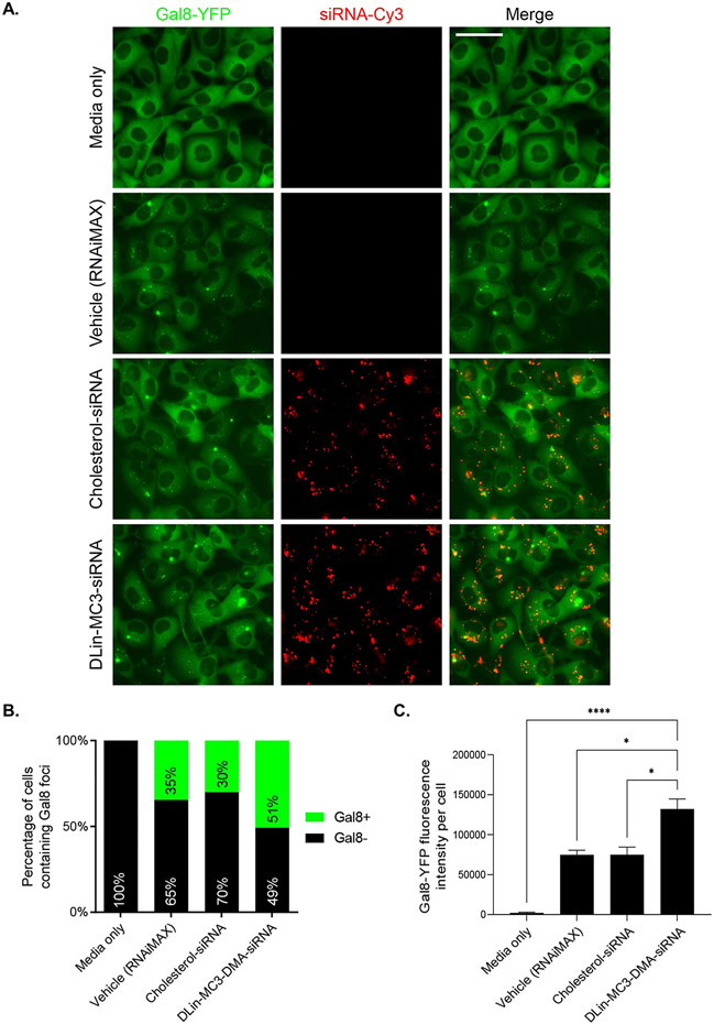 Figure 5: