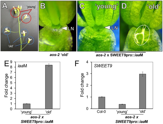 FIGURE 3