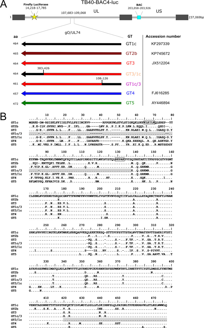 FIG 1