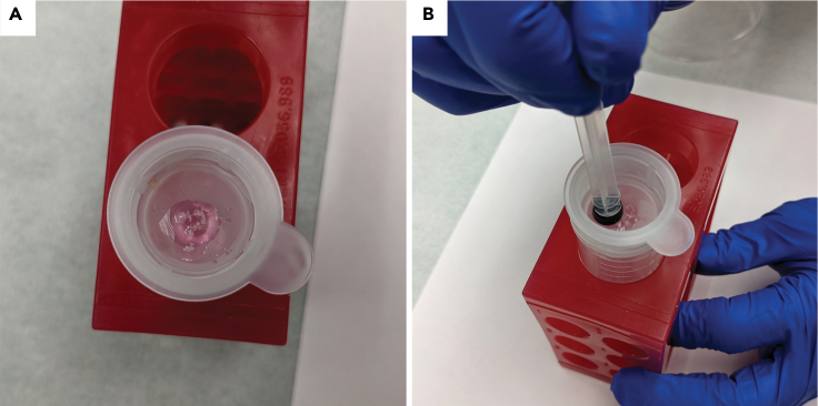 Figure 4