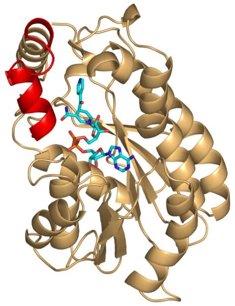 Fig. (5)