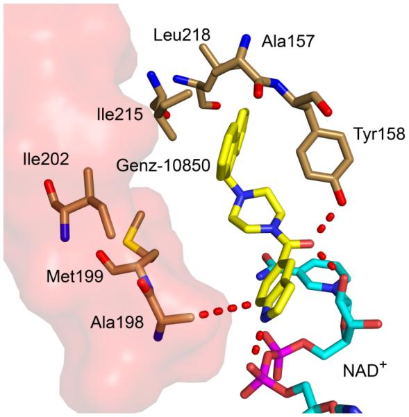 Fig. (19)