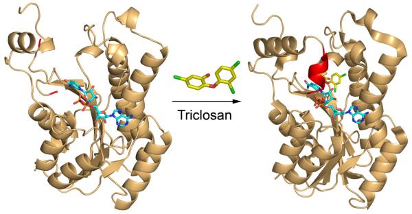 Fig. (3)