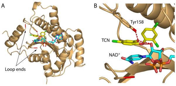 Fig. (9)