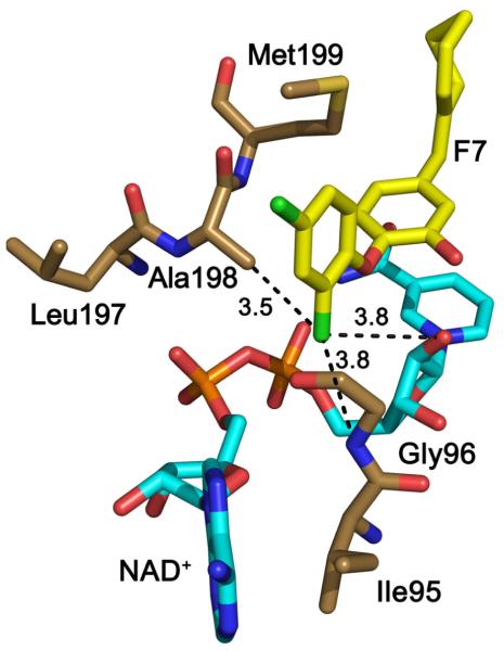 Fig. (11)