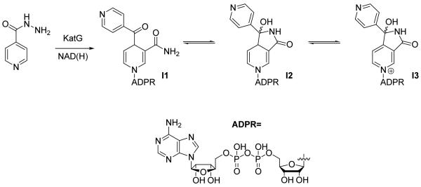 Fig. (4)