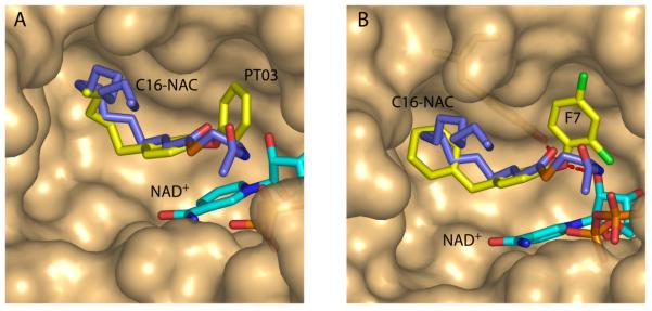 Fig. (10)