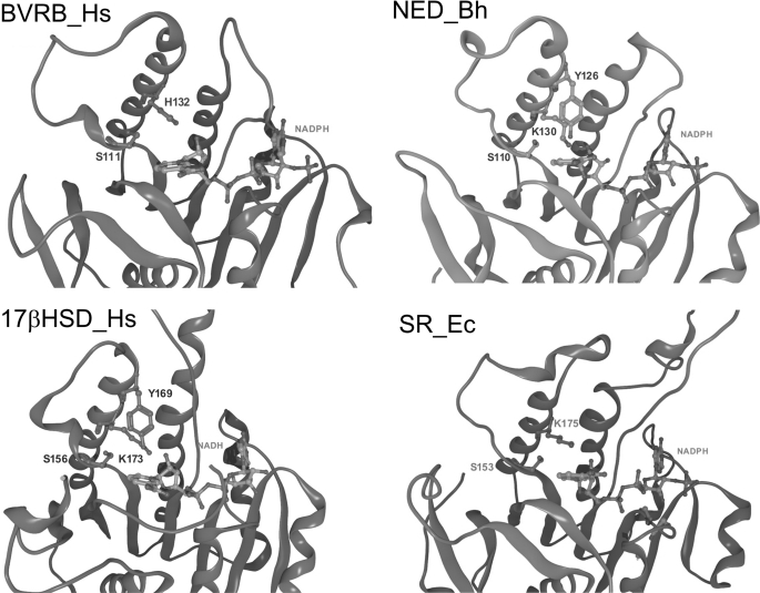 FIGURE 4.