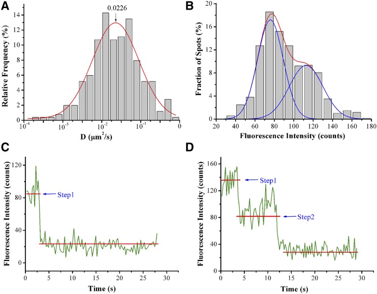 Figure 3.