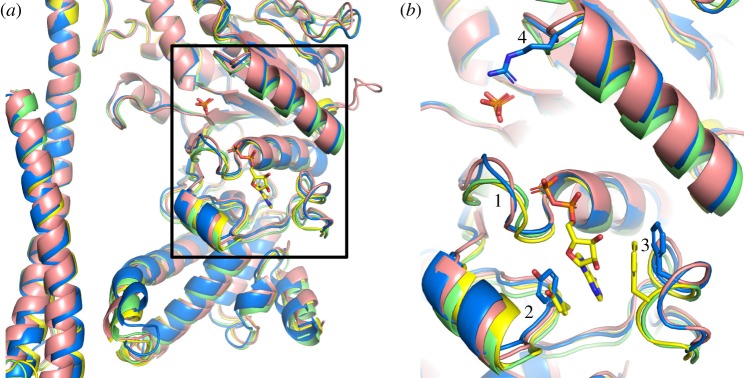 Figure 5.