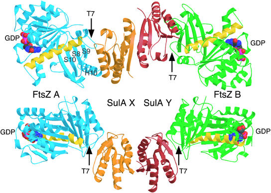 Fig. 4.