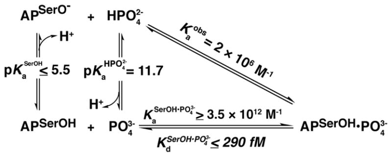 Scheme 3