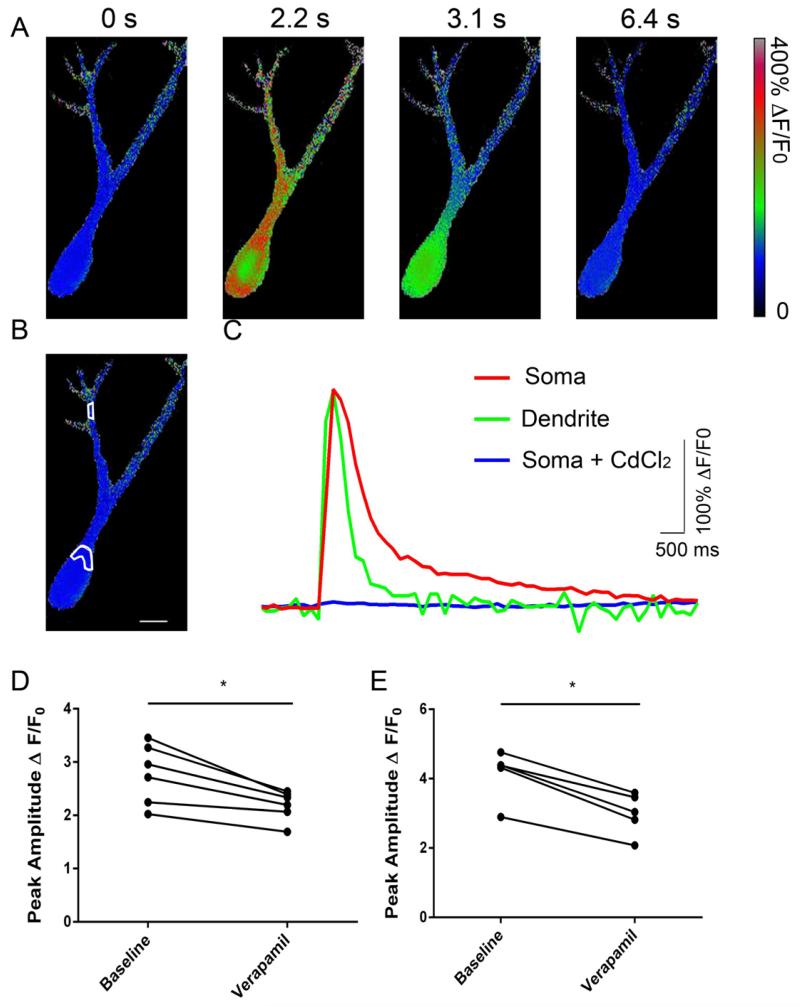 Figure 5