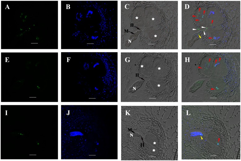 Fig 2