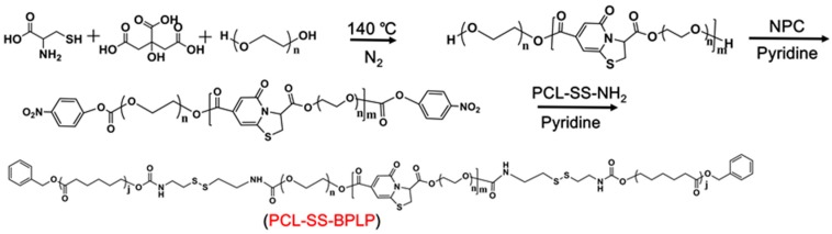 Scheme 4