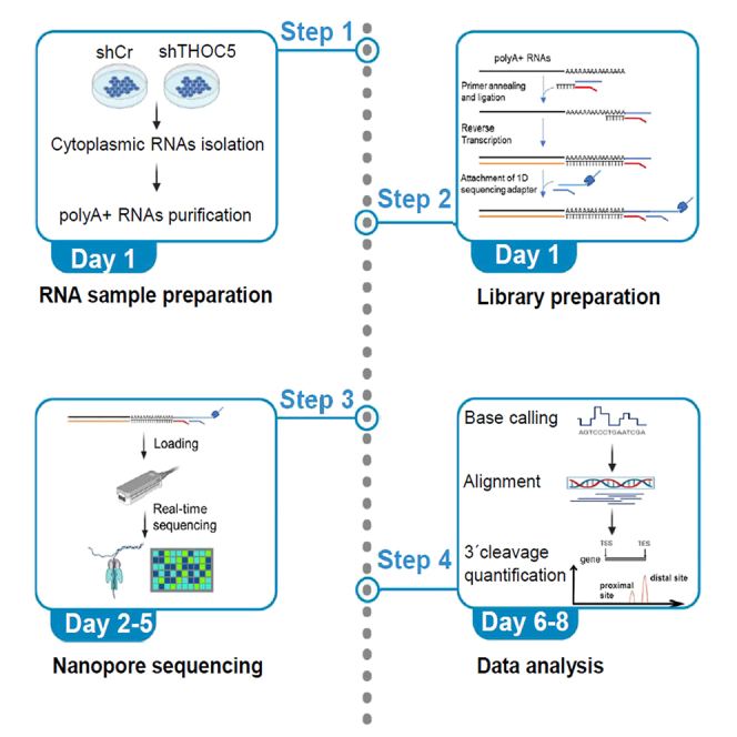 graphic file with name fx1.jpg