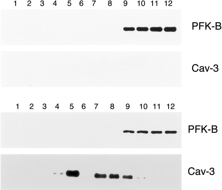 Figure 12.