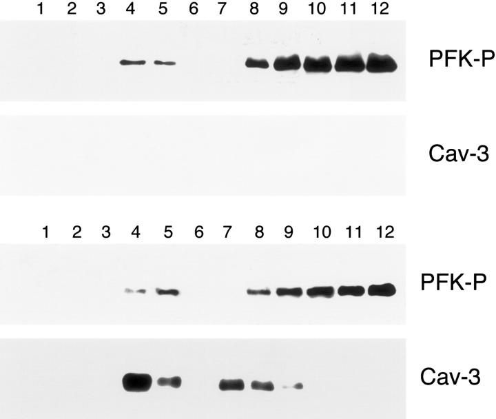 Figure 13.