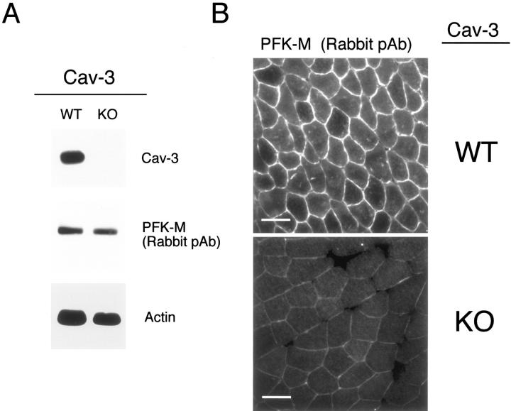 Figure 14.