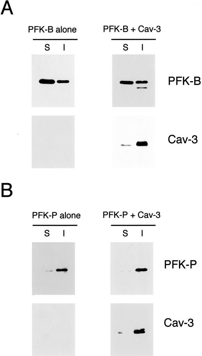 Figure 11.