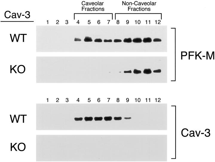 Figure 16.