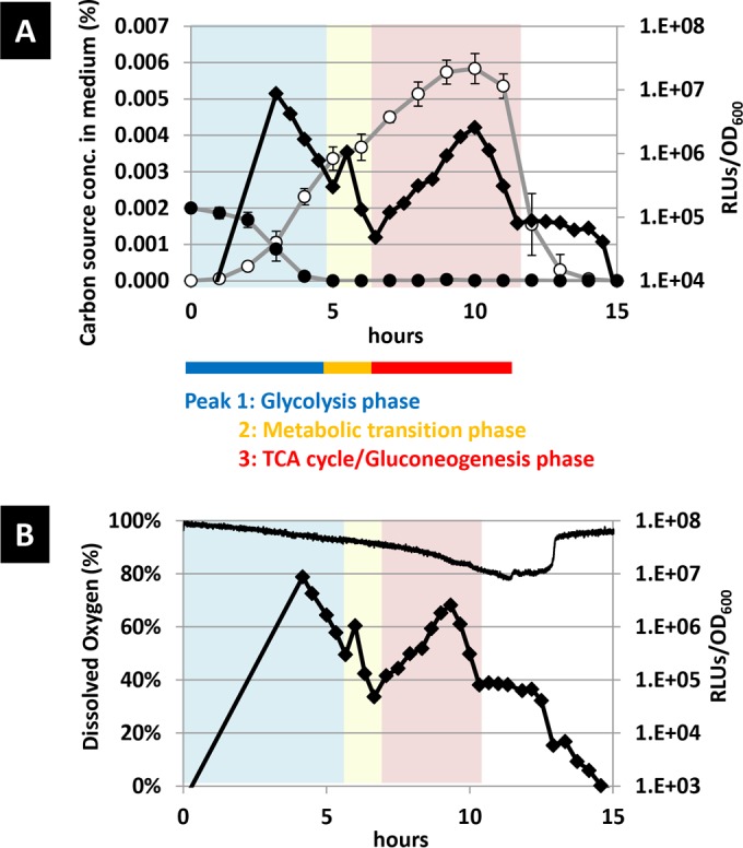 FIG 2