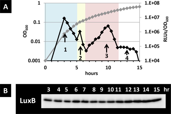 FIG 1