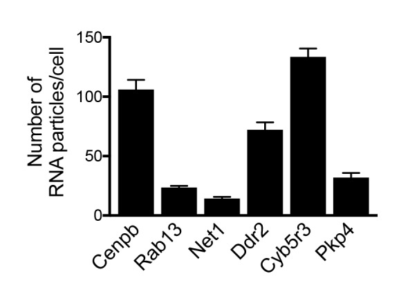 Figure 5—figure supplement 2.