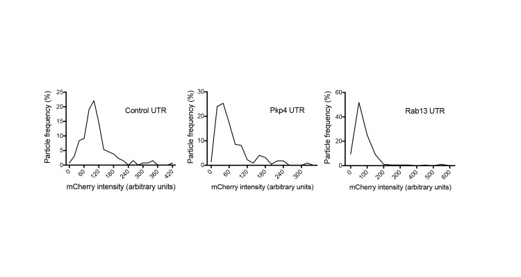 Figure 4—figure supplement 2.