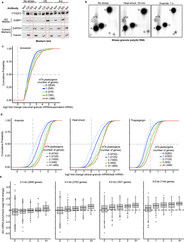 Extended Data Fig. 4.