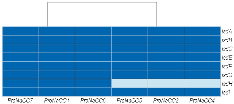 Figure 5