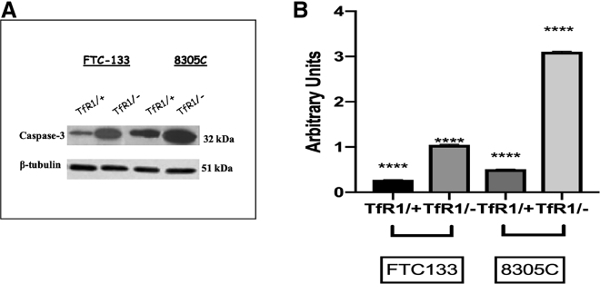 Figure 7