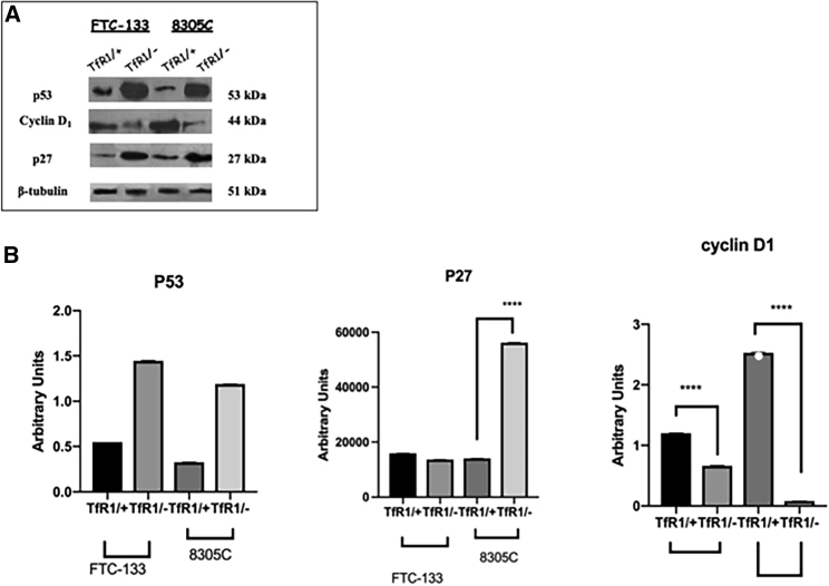 Figure 6