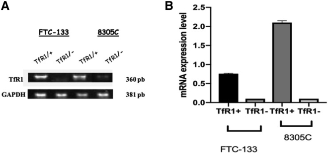 Figure 3