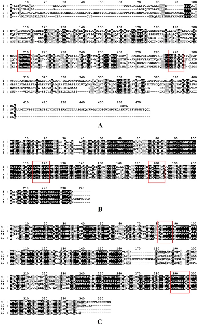 Figure 7