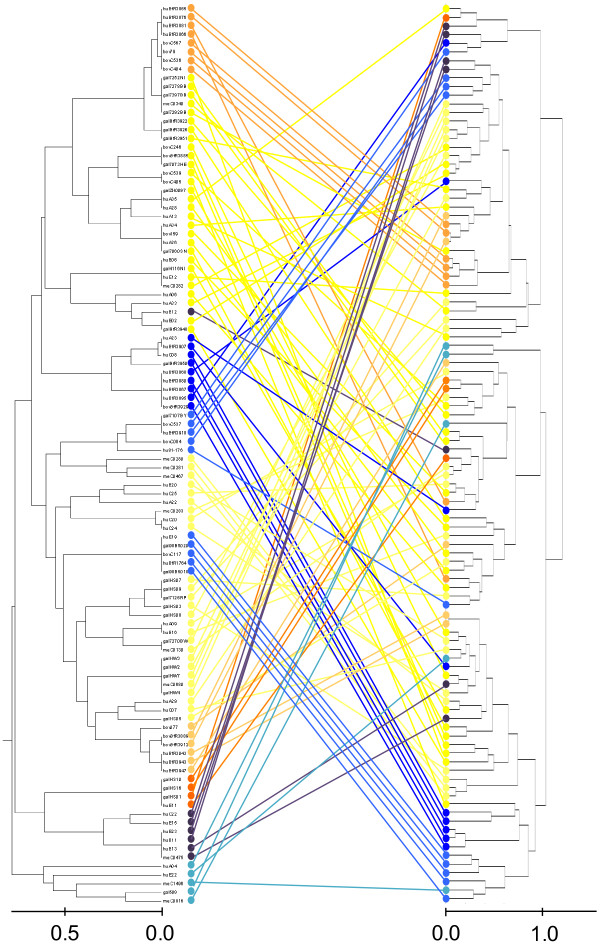 Discrimination of multilocus sequence typing-based Campylobacter jejuni ...