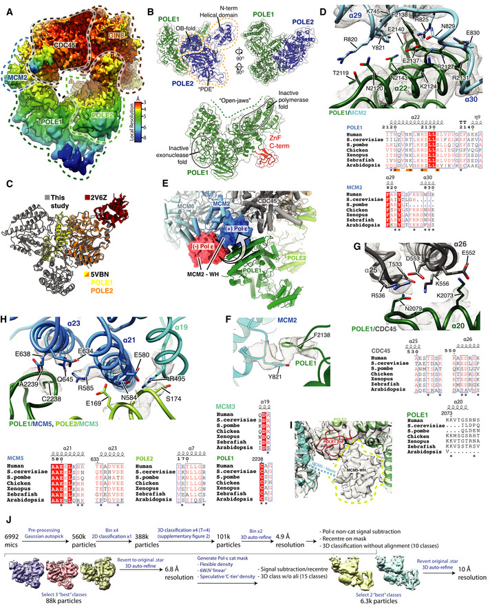 Figure EV4