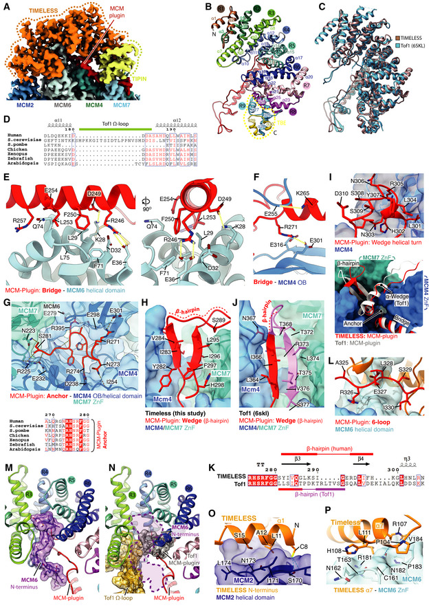 Figure EV3