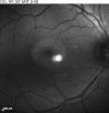 Fig. 8