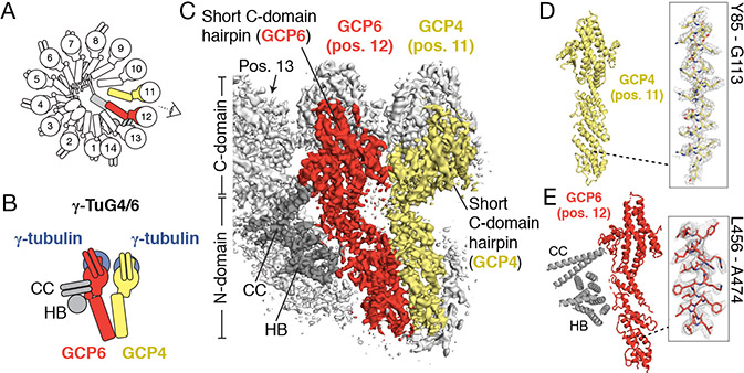 Figure 3.