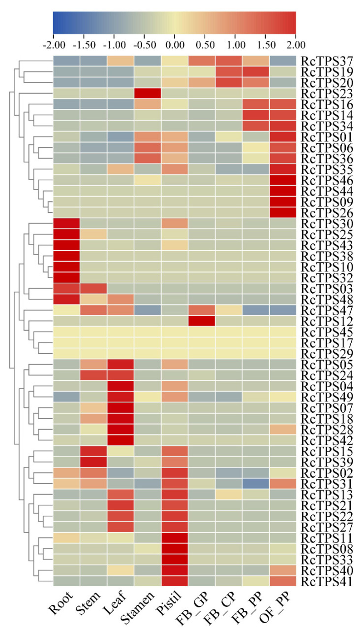 Figure 7