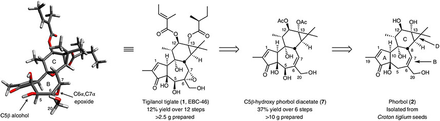 Fig. 1 ∣