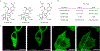 Fig. 4 ∣