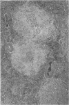 231